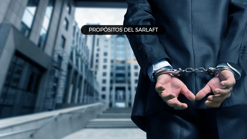 PROPÓSITOS FUNDAMENTALES